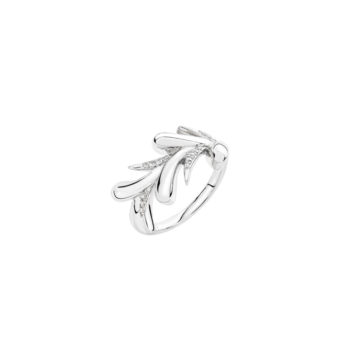 Sycamore Ring
