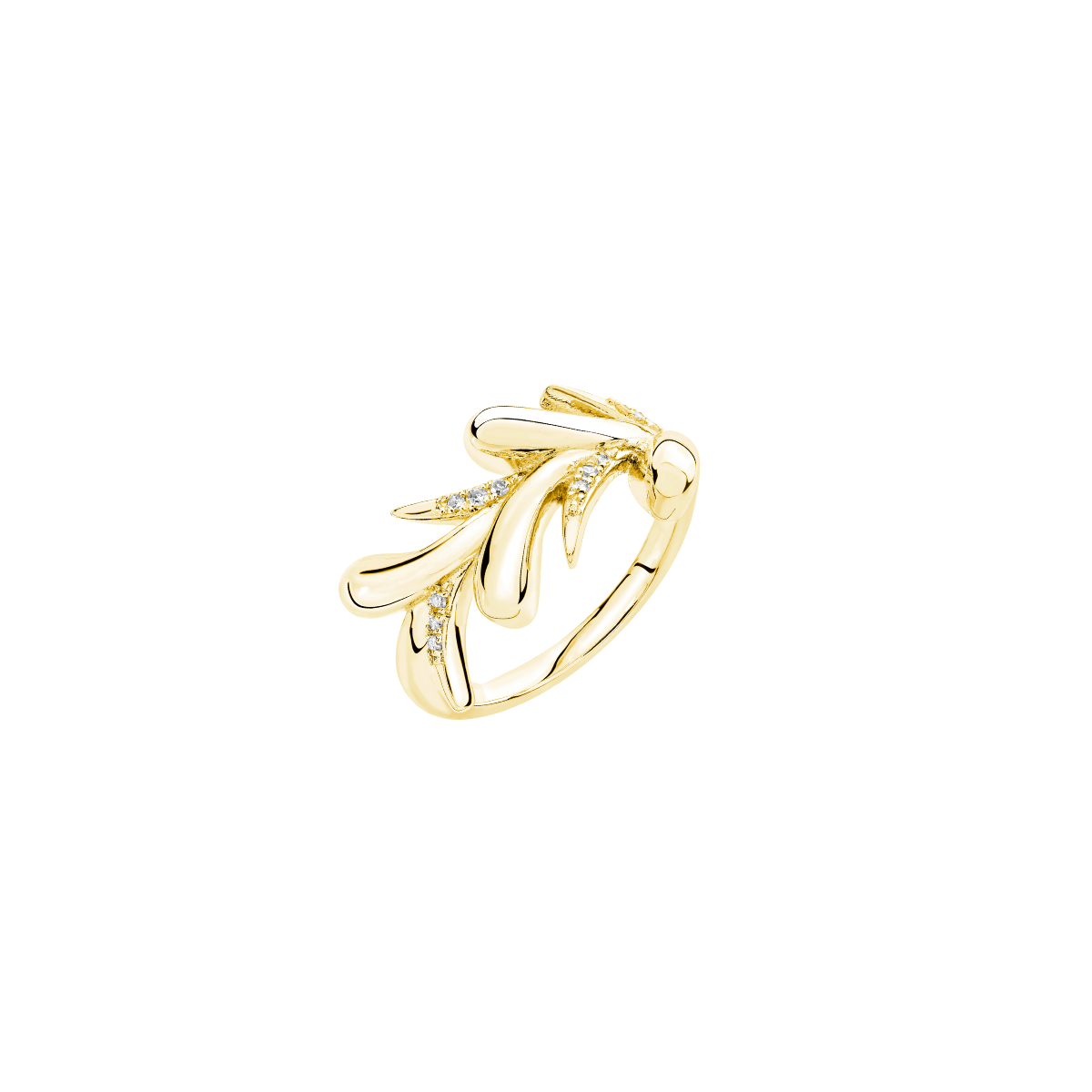Sycamore Ring